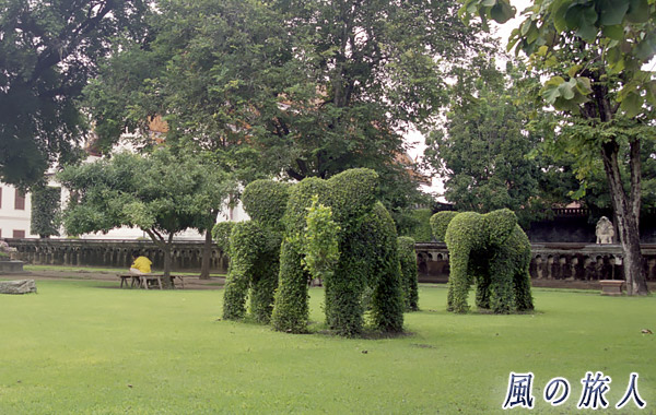象の形をした植木の写真