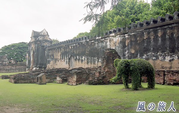 象の形をした植木の写真