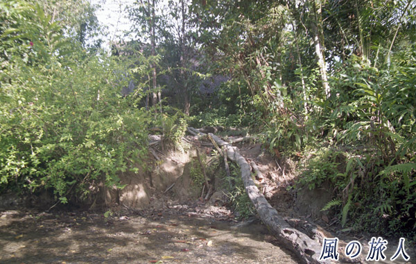インドネシア　シベルト島　丸太の道の写真