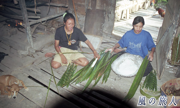 インドネシア　シベルト島　サゴヤシの調理とワンコの写真