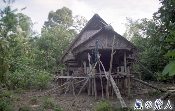 インドネシア　シベルト島　メンタワイ人の高床式住居の写真