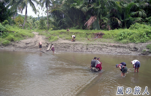 インドネシア　シベルト島　水牛に乗って対岸へ渡る様子の写真