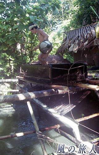 インドネシア　シベルト島　サゴヤシのろ過の写真