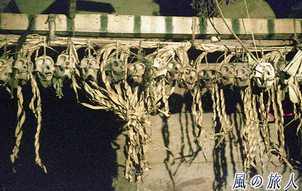 インドネシア　シベルト島　メンタワイ人　住居に猿の頭蓋骨が沢山つるされている様子の写真