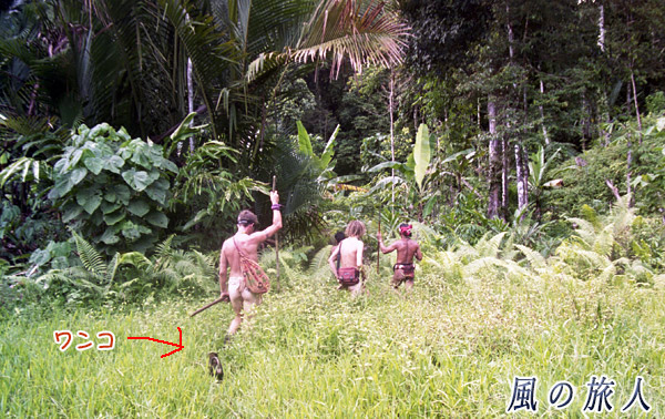 インドネシア　シベルト島　メンタワイ人の恰好をする観光客が狩りをする写真