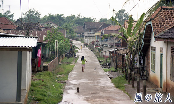 インドネシア　パレンバン　キャバリアの写真
