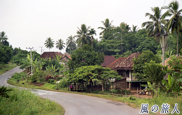 インドネシア　パレンバン　キャバリアの写真