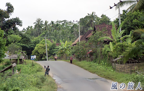 インドネシア　パレンバン　キャバリアの写真