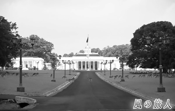 インドネシア　ボゴール　の写真