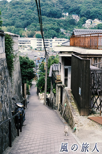尾道　レンガ坂を登ってくるにゃんこの写真