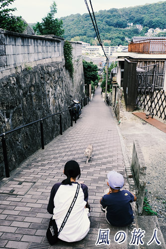 尾道　レンガ坂　子供に向かってやって来る猫の写真