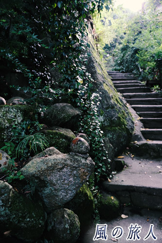 尾道　猫の細道の写真