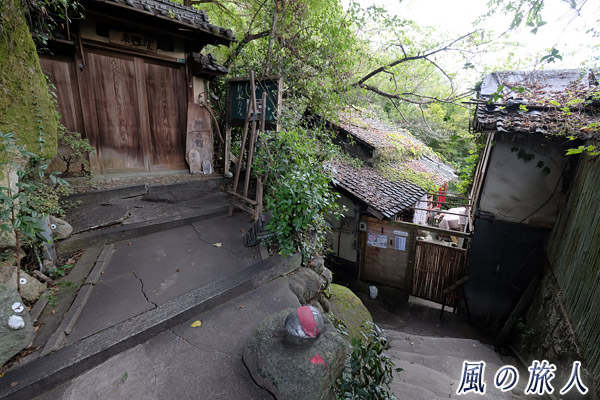 尾道　猫の細道の写真