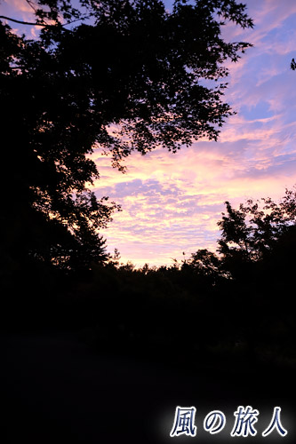尾道　鳴滝山　朝焼けの空の写真