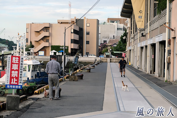 尾道　海岸沿いのワンコとニャンコの写真