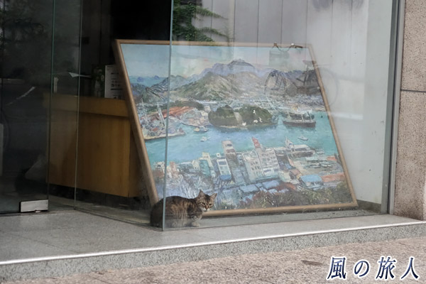 尾道　絵画とニャンコの写真