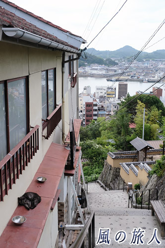 尾道　ひさしの上で寝るにゃんこの写真