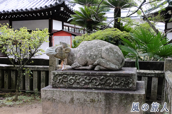 尾道　御袖天満宮　マスクをした神牛の像の写真