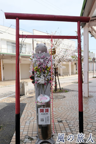 竹原　商店街のももねこ様の写真