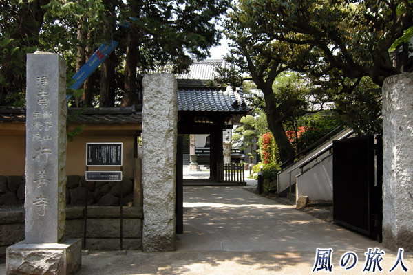 瀬田行善寺の写真