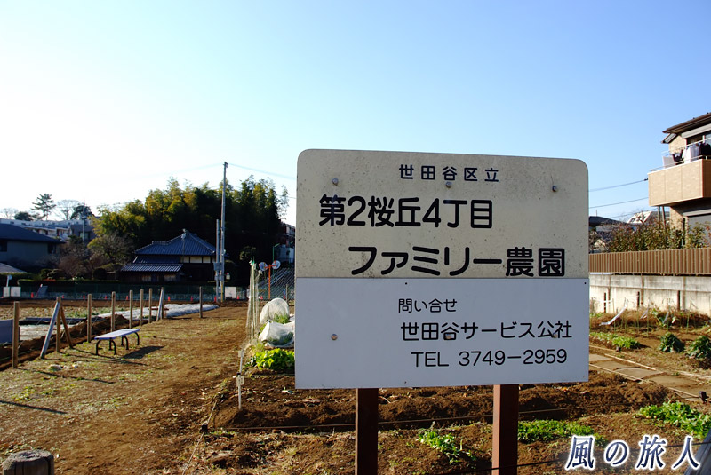 桜丘　ファミリー農園の写真