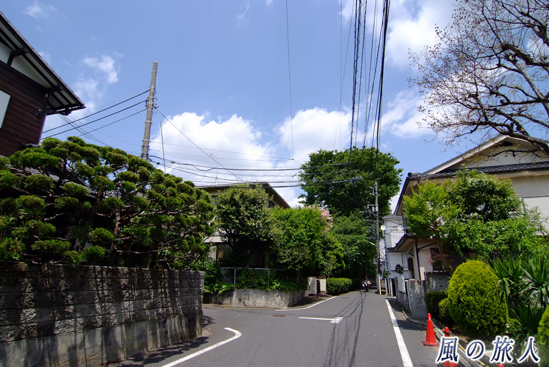 桜丘の緑が多い住宅地の写真