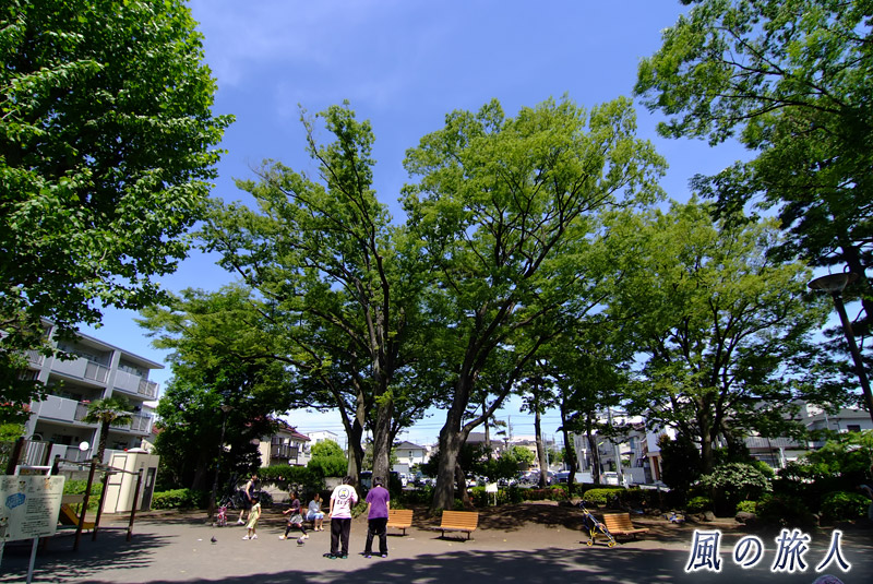 世田谷新町公園の園内を写した写真