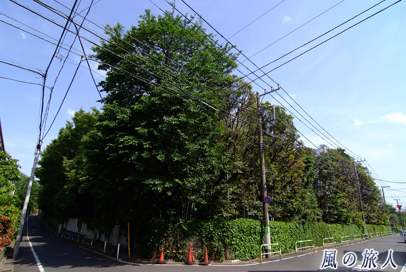 秋山邸の前の通り２の写真