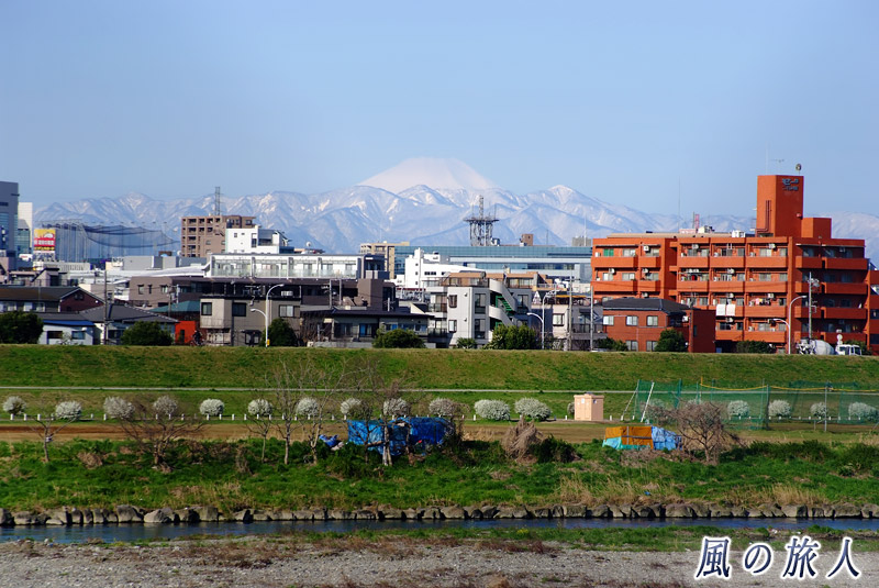 上野毛付近　対岸と富士山の眺めの写真