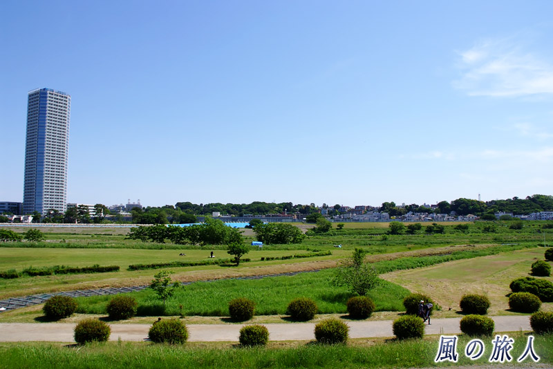 上野毛付近の多摩川堤　対岸、川崎からの風景の写真