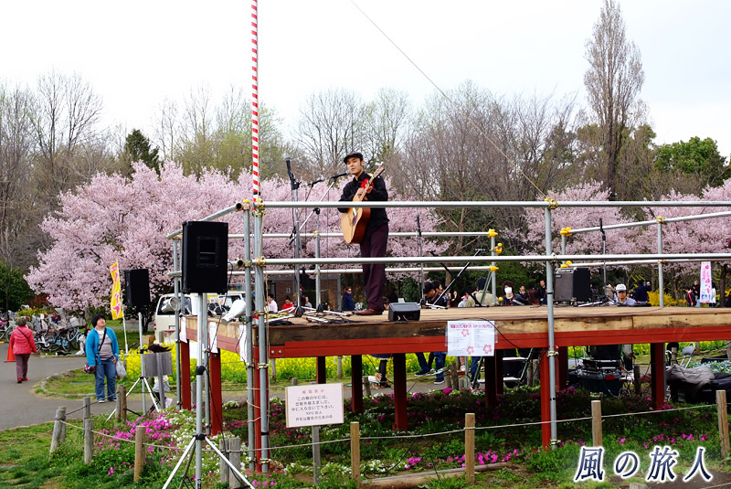 芦花公園花の丘フェスタ　桜まつりのステージの写真