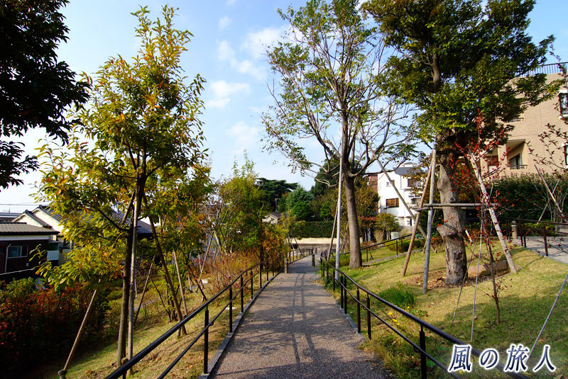 円泉ヶ丘公園　斜面緑地のスロープの写真