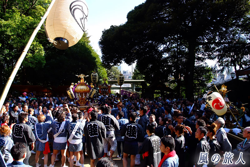 太子堂八幡神社祭礼　神輿と担ぎ手でにぎわう境内の写真