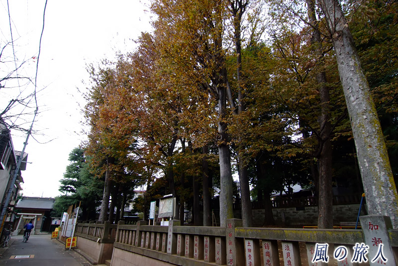 太子堂八幡神社　神社の前の通の写真