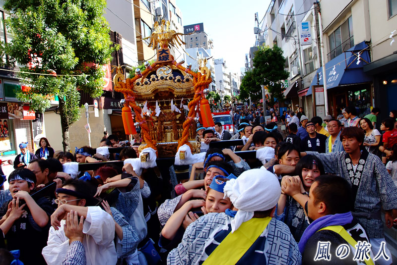 太子堂八幡神社祭礼　大塚共栄会の神輿の写真