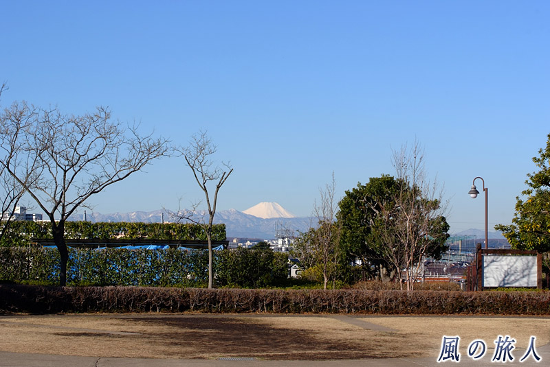 喜多見ふれあい広場　きたみふれあい広場からの富士山の写真