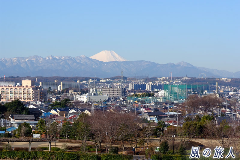 崖線から見た富士山ときたみふれあい広場の写真