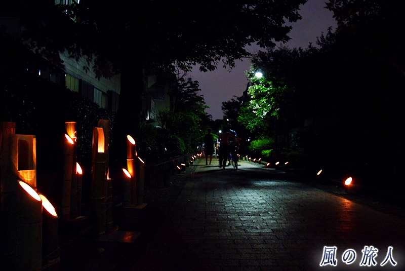 烏山川緑道　三茶ラテンフェスティバル　緑道に飾られた竹灯篭の写真