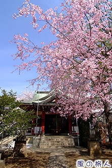 稲荷森稲荷神社の写真