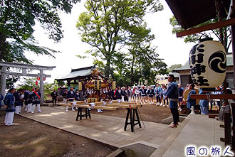 大蔵氷川神社の神輿渡御の写真