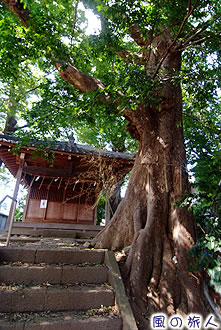 須賀神社の写真
