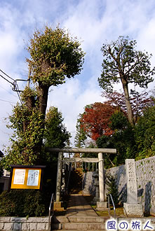尾山宇佐神社の写真