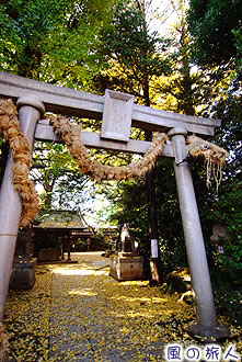 奥沢神社の写真
