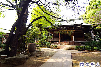 奥沢神社の写真