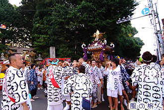 奥沢神社の神輿渡御の写真