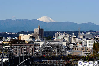 成城の不動橋からの眺める富士山