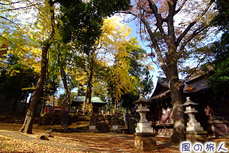 三宿神社の紅葉の写真