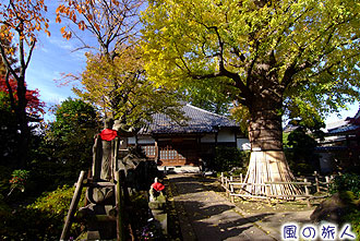 浄光寺の紅葉の写真
