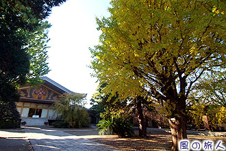 岡本長円寺の紅葉の写真