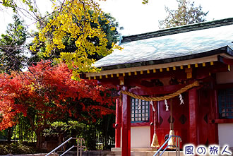 粕谷八幡神社の紅葉の写真